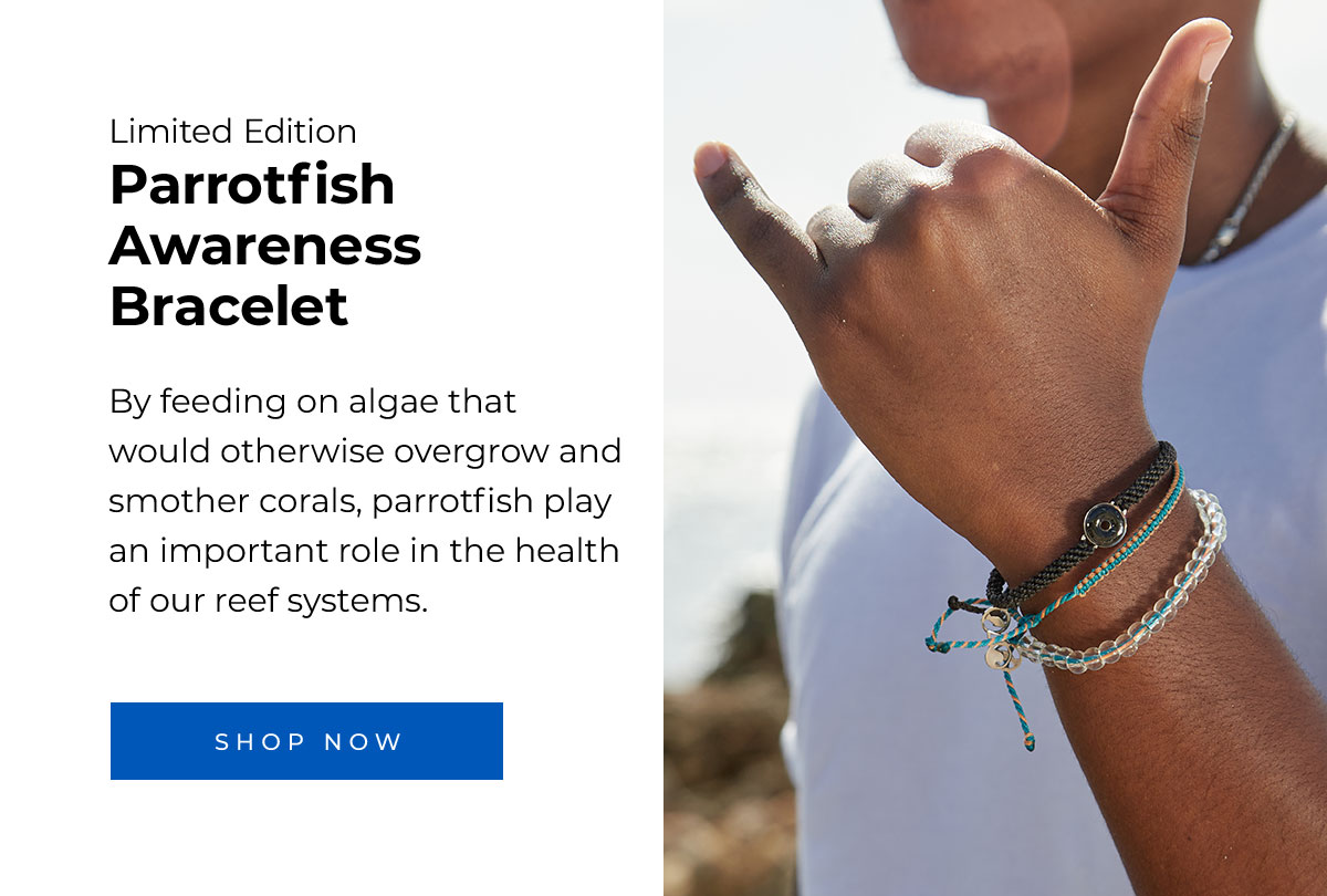 Limited Edition Parrotfish Awareness Bracelet. By feeding on algae that would otherwise overgrow and smother corals, parrotfish play an important role in the health of our reef systems. Shop Now