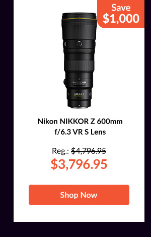 Nikon NIKKOR Z 600mm f/6.3 VR S Lens 