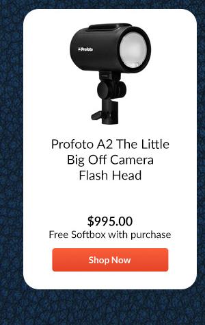Profoto A2 The Little Big Off Camera Flash Head