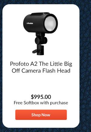 Profoto A2 The Little Big Off Camera Flash Head