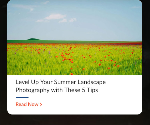 42 West  Level Up Your Summer Landscape Photography with These 5 Tips