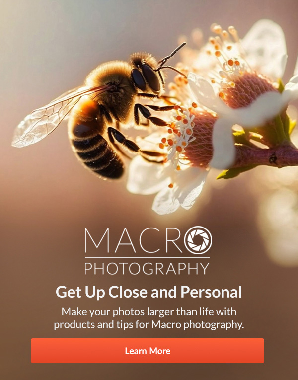 Macro Photography  |  Get Up Close and Personal  Make your photos larger than life with products and tips for Macro photography. | Learn More