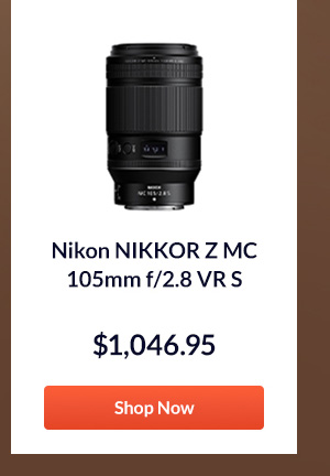 Nikon NIKKOR Z MC 105mm f/2.8 VR S