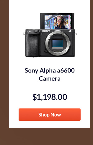 Sony Alpha a6600 Camera