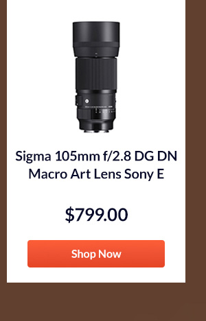 Sigma 105mm f/2.8 DG DN Macro Art Lens Sony E