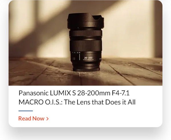 42 West Panasonic LUMIX S 28-200mm F4-7.1 MACRO O.I.S.: The Lens that Does it All