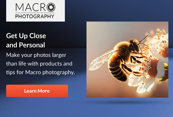 Macro Photography  |  Get Up Close and Personal  Make your photos larger than life with products and tips for Macro photography. | Learn More