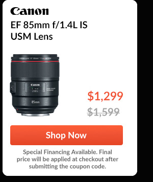 Canon EF 85mm f/1.4L IS USM Lens