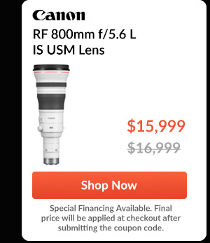 Canon RF 800mm f/5.6 L IS USM Lens