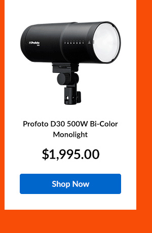 Profoto D30 500W Bi-Color Monolight