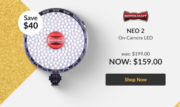 NEO 2 On-Camera LED