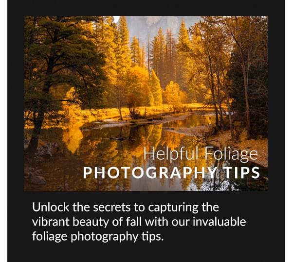 Helpful Foliage Photography Tips Unlock the secrets to capturing the vibrant beauty of fall with our invaluable foliage photography tips.