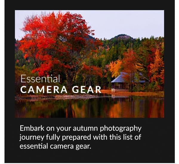 Essential Camera Gear Embark on your autumn photography journey fully prepared with this list of essential camera gear. 