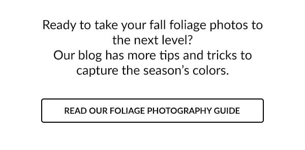 Ready to take your fall foliage photos to the next level? Our blog has more tips and tricks to capture the season’s colors. 