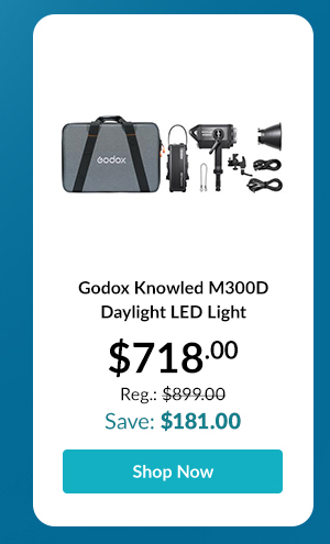Godox Knowled M300D Daylight LED Light