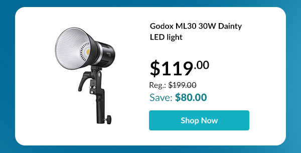 Godox ML30 30W Dainty LED light