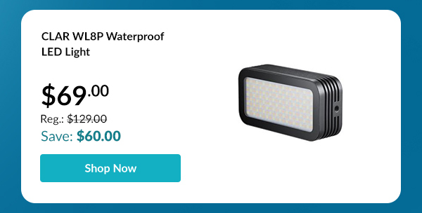 CLAR WL8P Waterproof LED Light