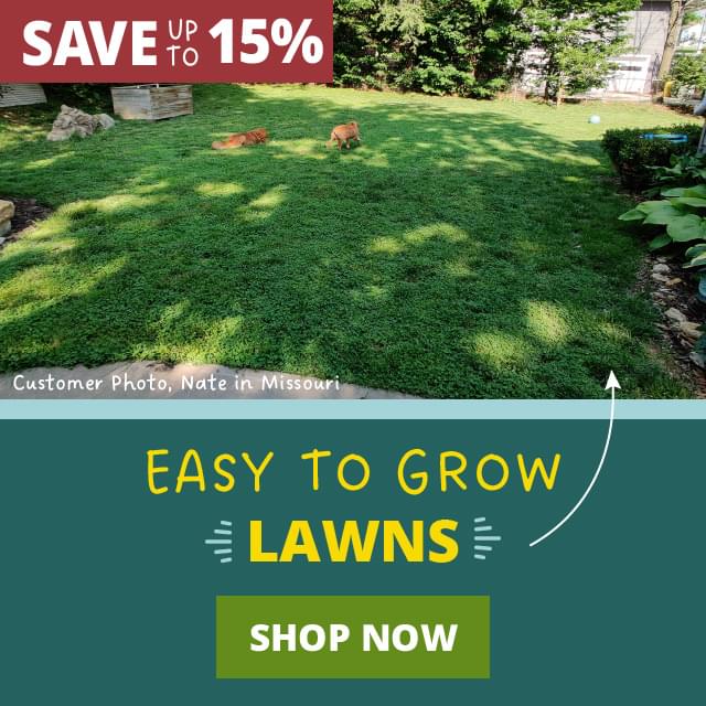 Save Up To 15% Easy To Grow Lawns Shop Now