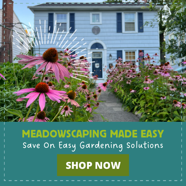 Meadowscaping Made Easy