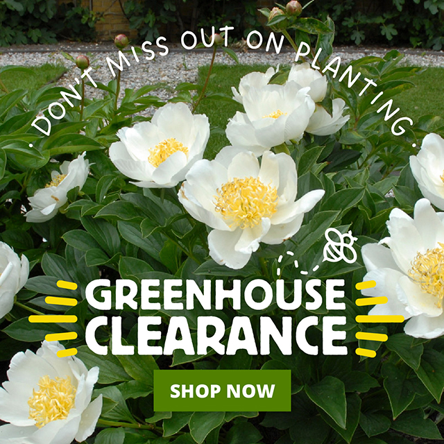 Don't Miss Out On Spring Planting! Greenhouse Clearance Sale Shop Now