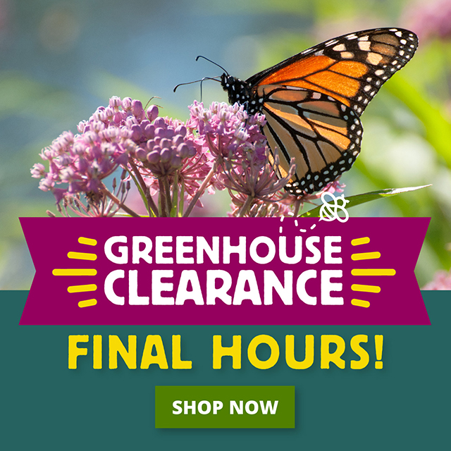 Final Hours Greenhouse Clearance Sale Shop Now