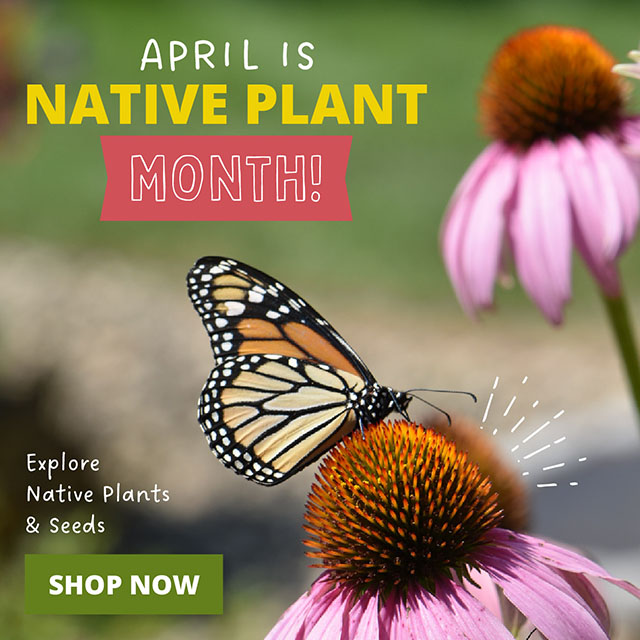 April Is Native Plant Month! Explore Native Plants & Seeds Shop Now