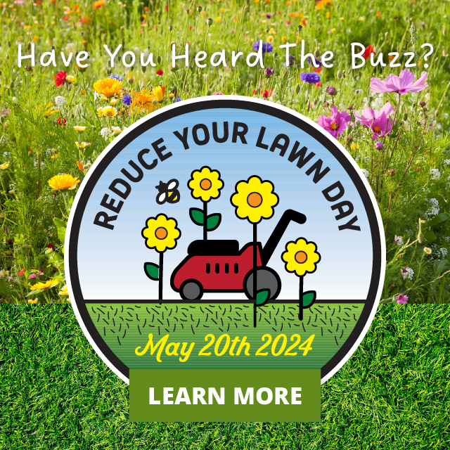 Reduce Your Lawn Day