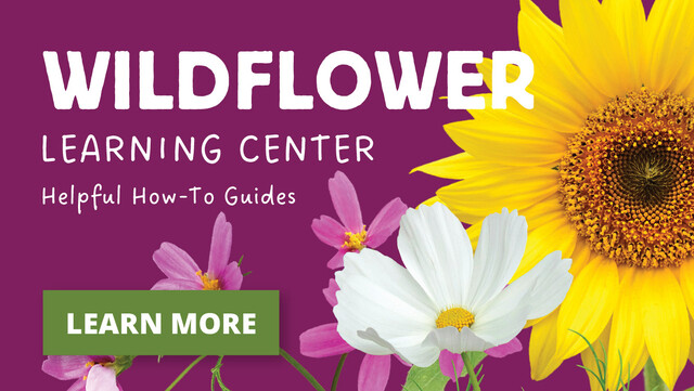 Visit Our Wildflower Learning Center - Everything You Need To Know About Growing Wildflowers - Learn More