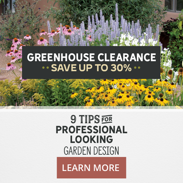 Greenhouse Clearance | Save Up To 30% On Premium Plants