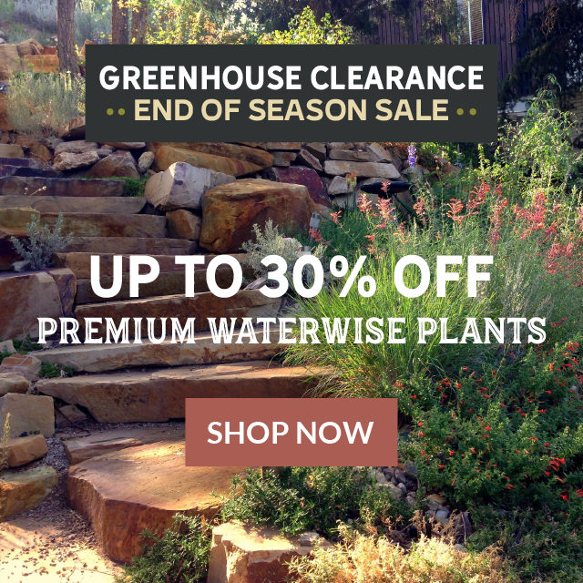 greenhouse clearance - save up to 30%