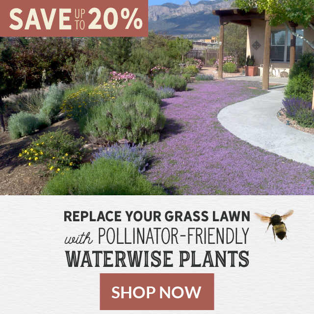 Save Up To 20% | Replace Your Grass Lawn With Waterwise Pollinator-Friendly Plants Shop Now
