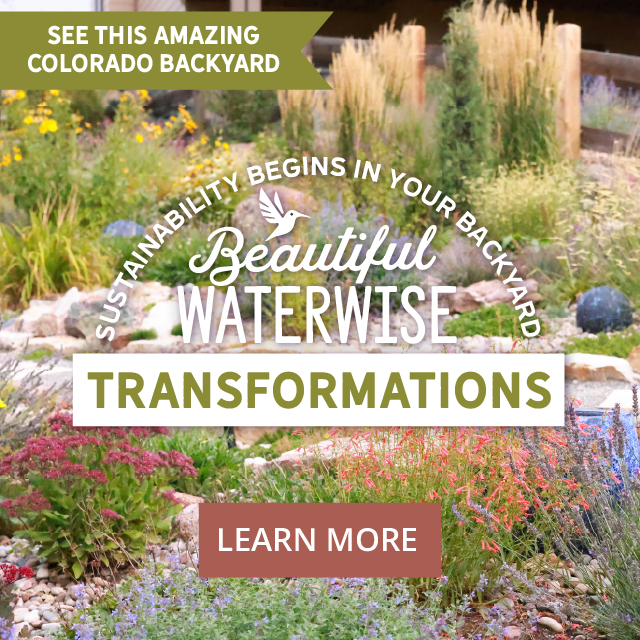 Waterwise Yard Transformation - See This Amazing Colorado Backyard Learn More 