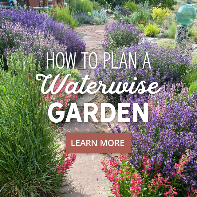 How To Plan A Waterwise Garden Learn More