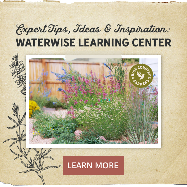 Visit Our New Waterwise Learning Center