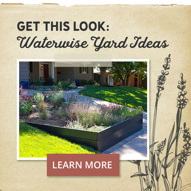 Get This Look: Waterwise Yard Ideas - Learn More