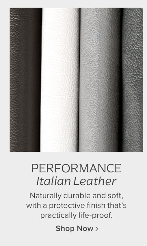 Performance Leather