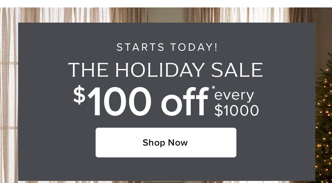The Holiday Sale