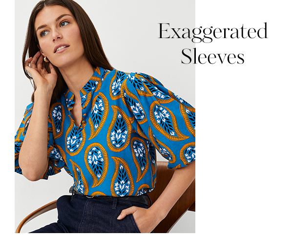 Exaggerated Sleeves