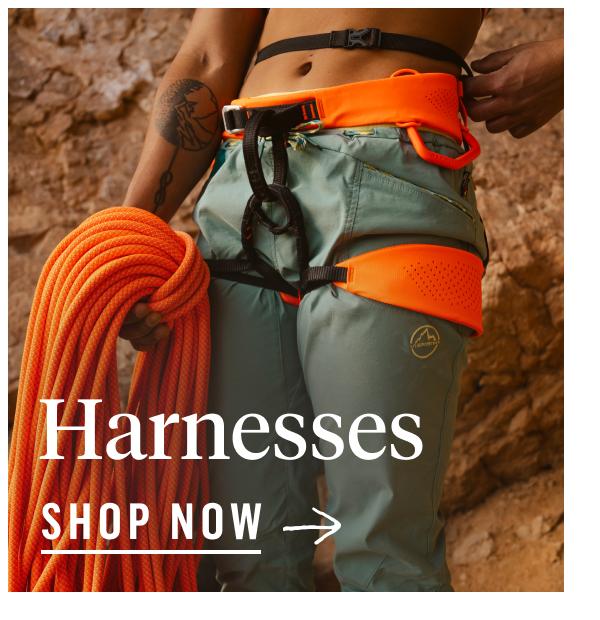 Harnesses. Shop Now!