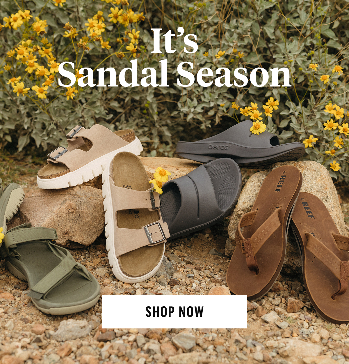It's Sandal Season. Shop Now!