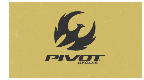 Pivot cycles