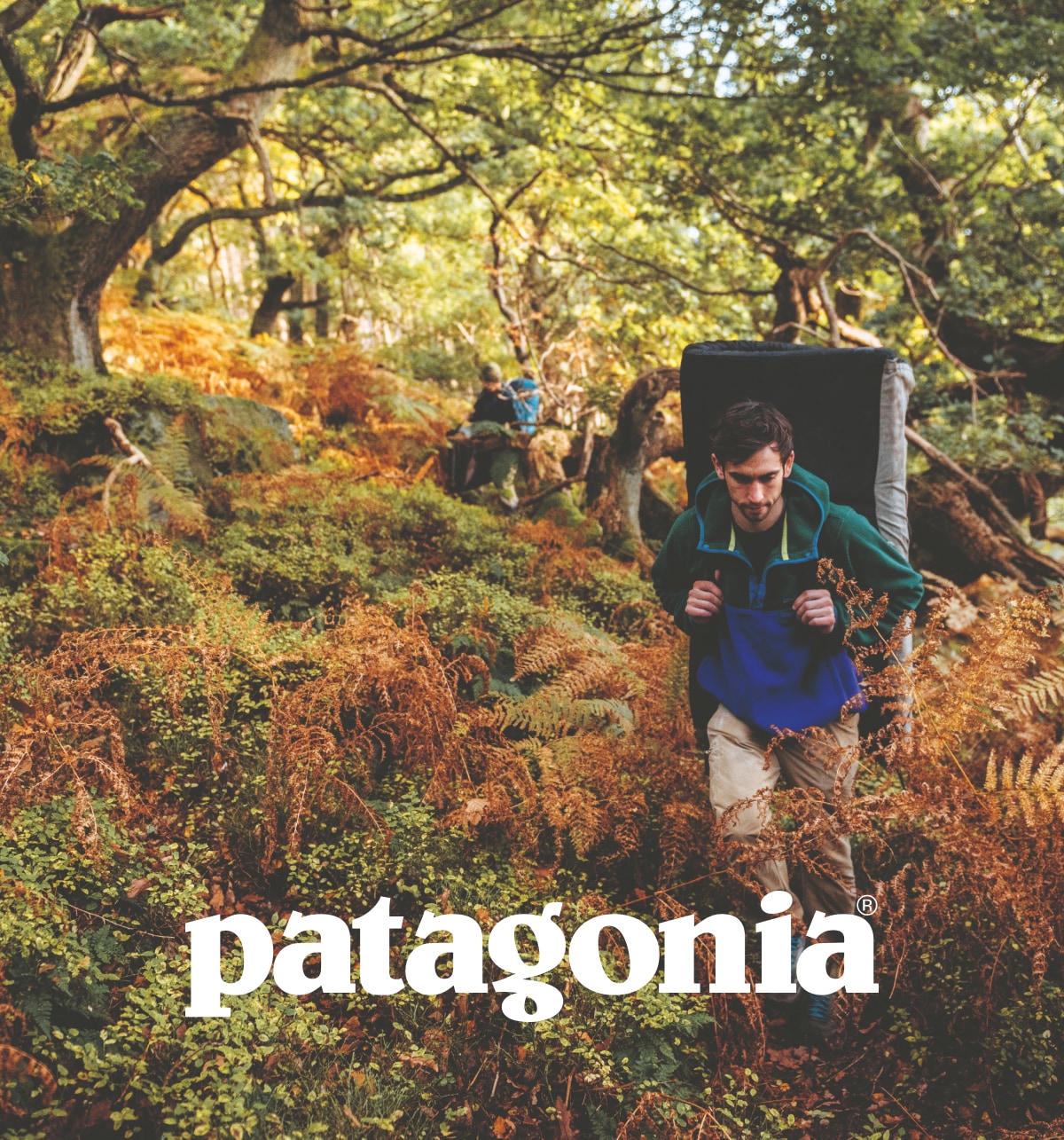 Patagonia Secondary