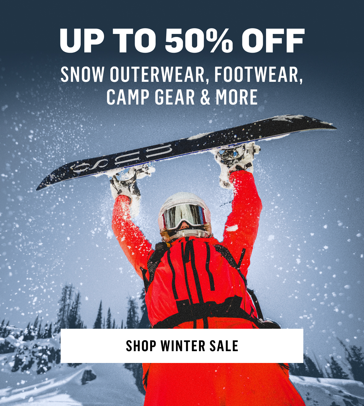 WinterSale