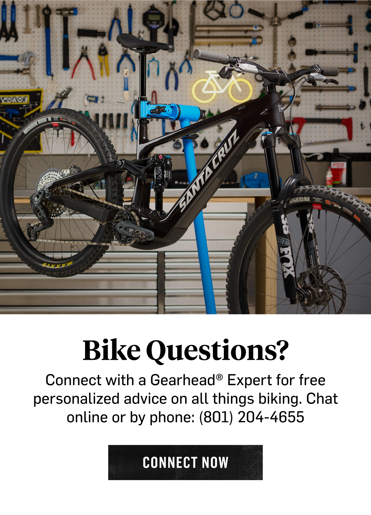 Bike Questions? Connect with a Gearhead Expert for free personalized advice on all things biking. Chat online or by phone: (801) 204 - 4655)