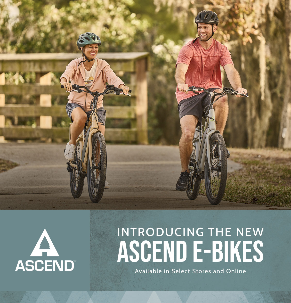 Ascend E-Bikes