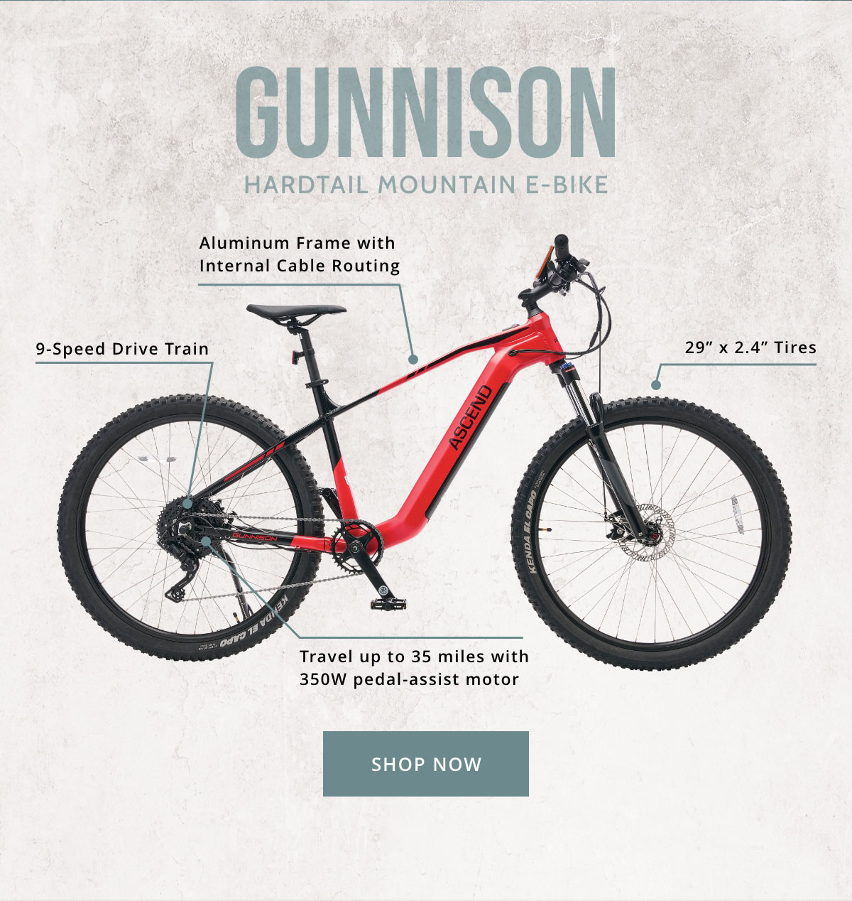Ascend E-Bikes