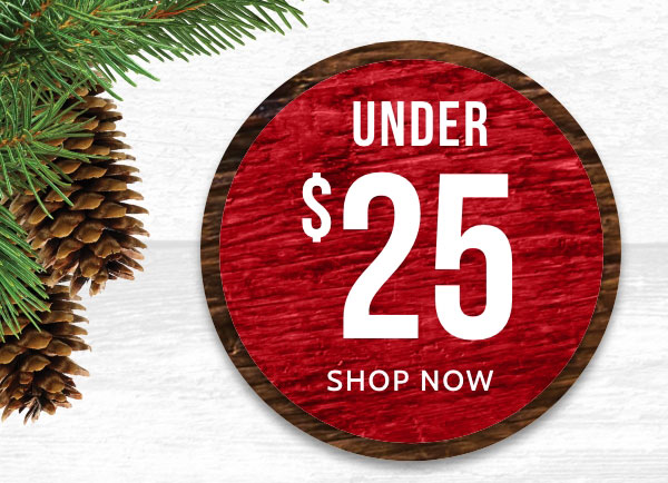 Gifts Under 25
