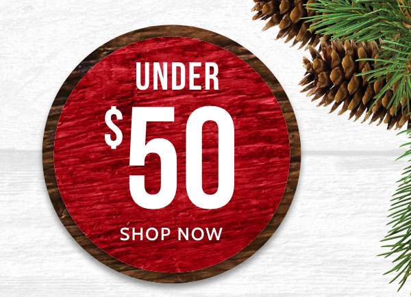 Gifts under 50