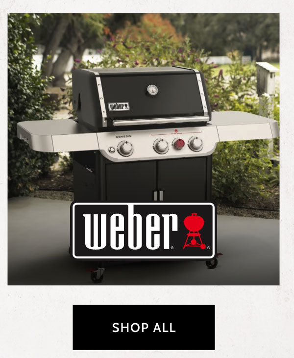 National BBQ Day