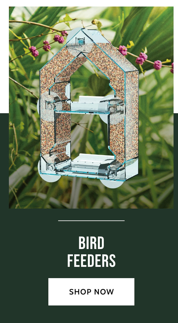 Bird Feeders